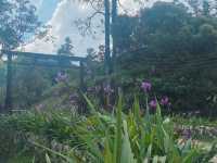 เหมืองปิล็อก - อ.ทองผาภูมิ กาญจนบุรี