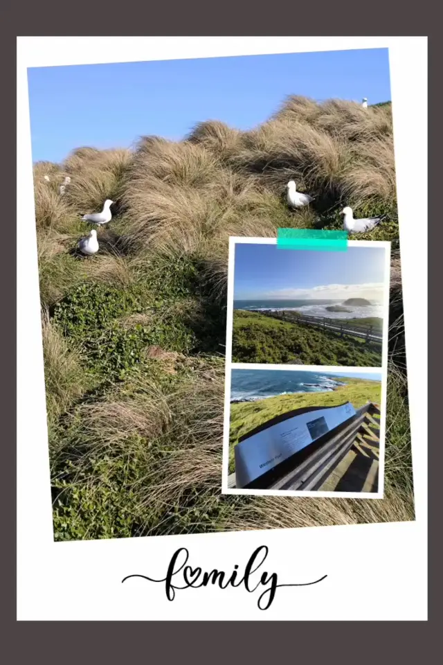 【NOBBIES OCEAN DISCOVERY CENTRE 】系海鳥們之樂土更享美麗海景！