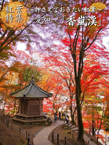 紅葉特集】ここ無料⁉️満足度1000%🤩一生に一度は行きたい愛知の紅葉