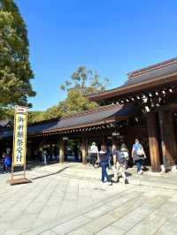 東京　東京観光　日本一参拝者数の明治神宮に行ってきた！