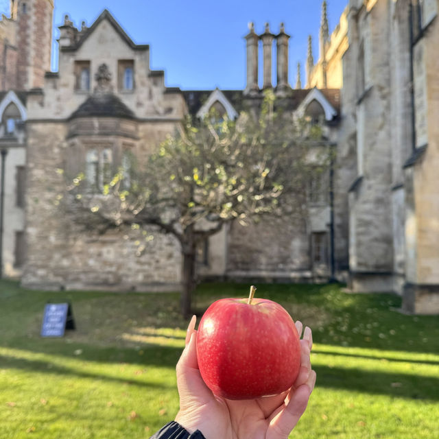 劍橋遊船🇬🇧