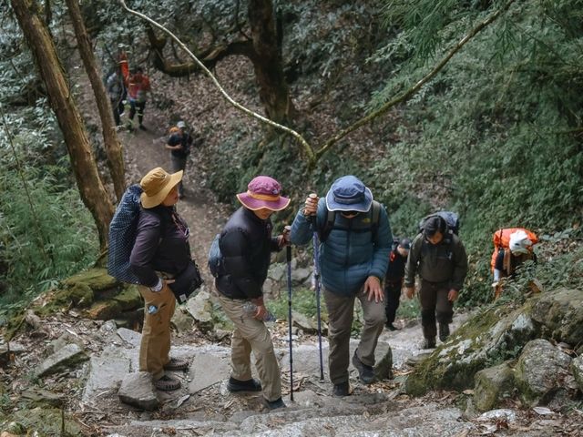 Mardi Himal
