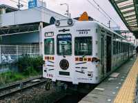 【和歌山×伊太祈曽駅】猫の駅長と可愛い「たま電車」に癒される