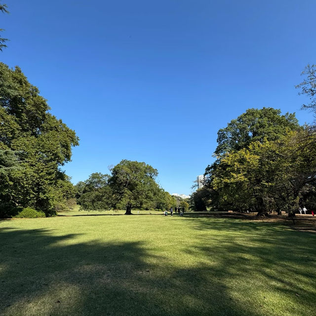 寶池公園：綠意自然樂土 🌳✨