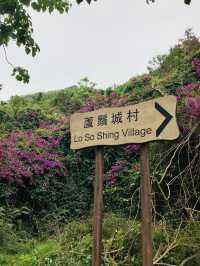 🇭🇰香港最有風情小島南丫島2日1夜行程🏝️