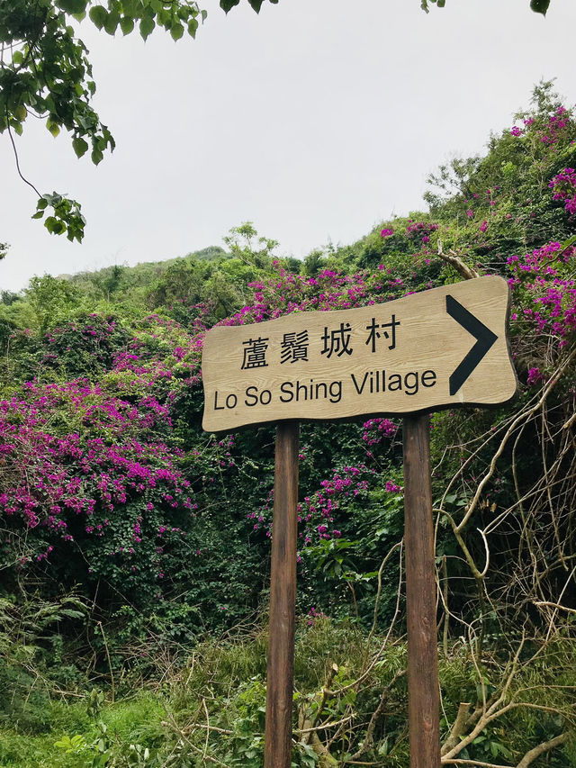 🇭🇰香港最有風情小島南丫島2日1夜行程🏝️