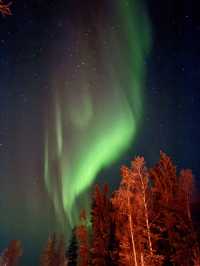 Aurora hunting in Yellowknife