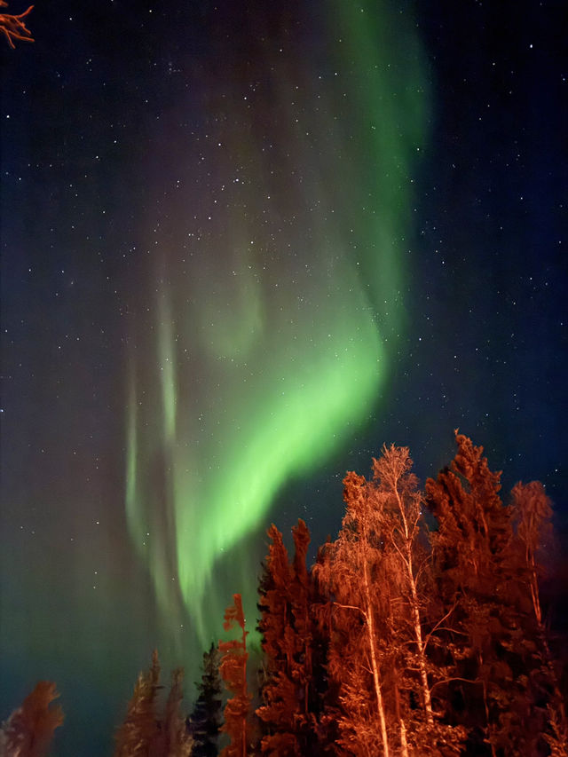 Aurora hunting in Yellowknife