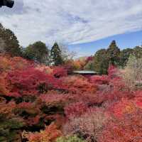 🍁京都楓紅的天花板「東福寺 通天橋」