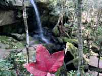 A Memorable Trip to Phu Kradueng National Park