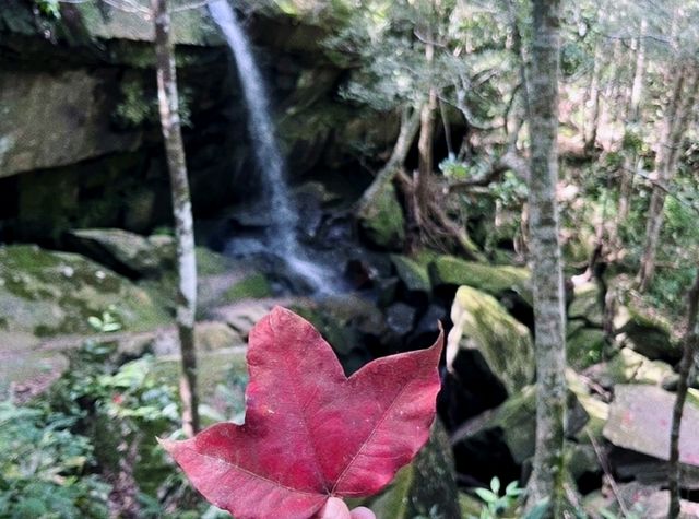 A Memorable Trip to Phu Kradueng National Park