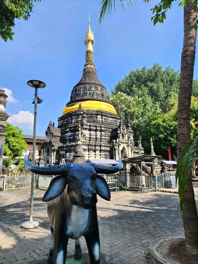 【チェンマイ】ミャンマーの色残るシャン寺院