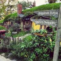 An Unforgettable Adventure in Hobbiton!