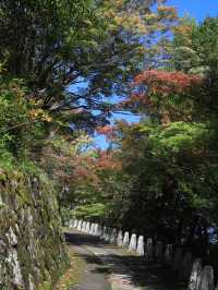 📍 【奈良】吉野山で歴史と自然を満喫