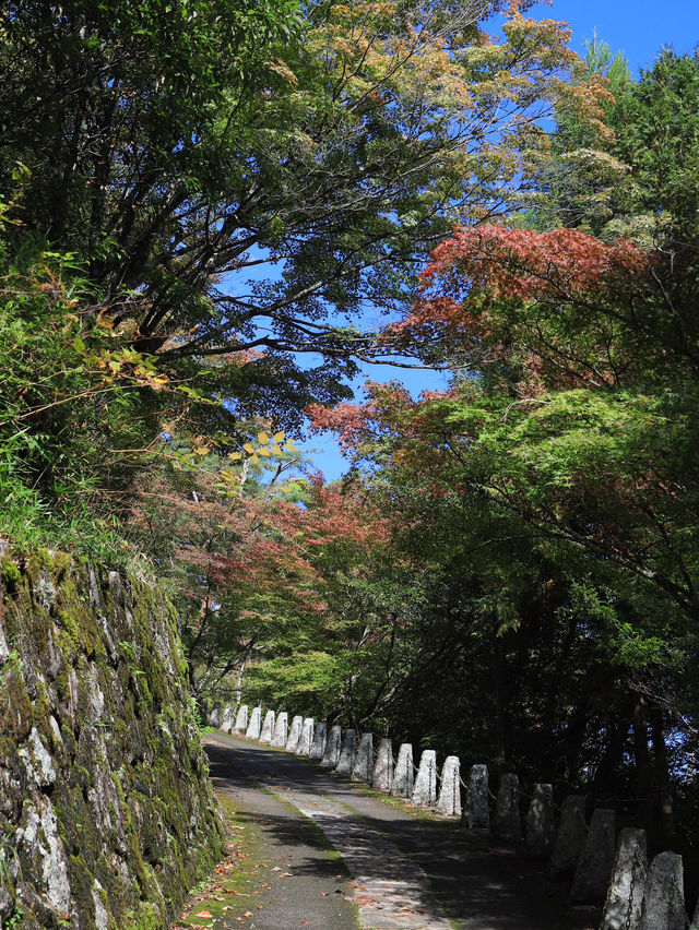 📍 【奈良】吉野山で歴史と自然を満喫