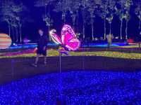 Charming Chiangmai Flower Festival