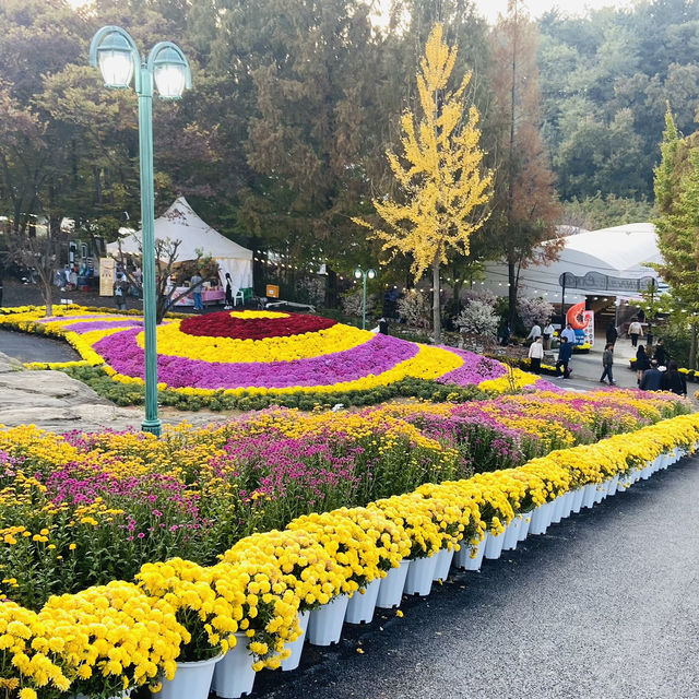 Just a great place to visit in Asan-si, in every season they decorate the place with a theme🥰 