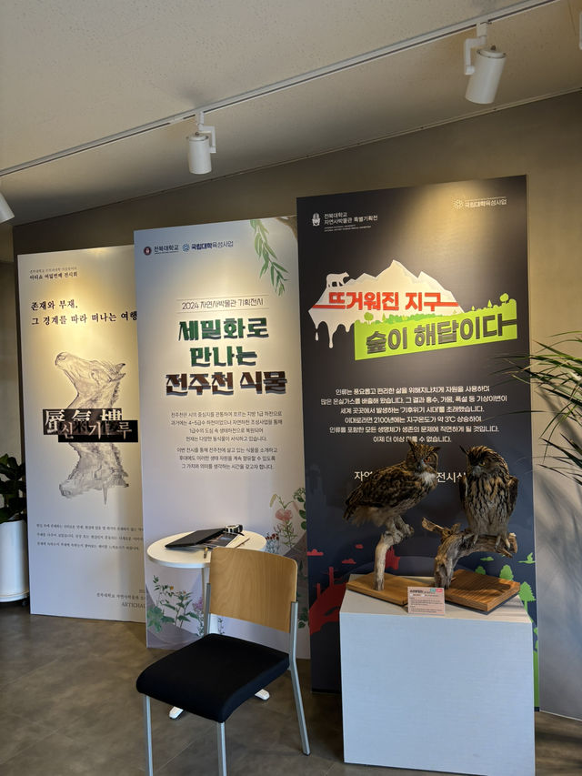 표범의 자연스러운 모습을 볼 수 있는 전북대 박물관😃