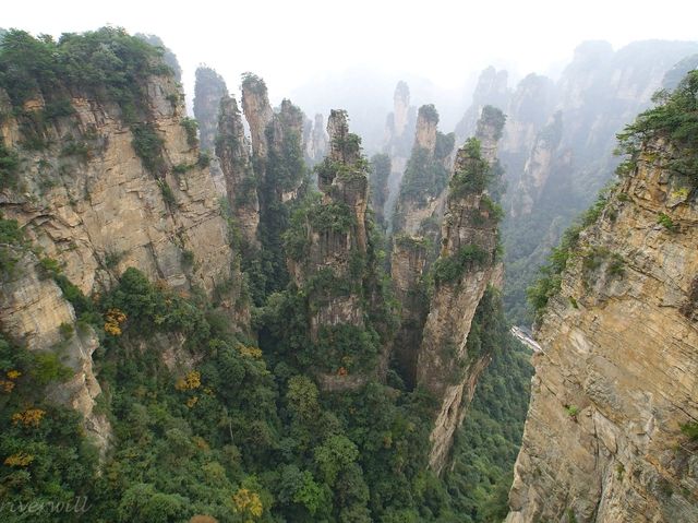 【中国】圧倒的スケール！武陵源の絶景中の絶景「空中庭園」