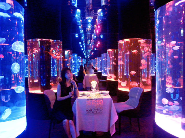 🪼Cube O BLU Dining🪼夢幻水母水族館餐廳