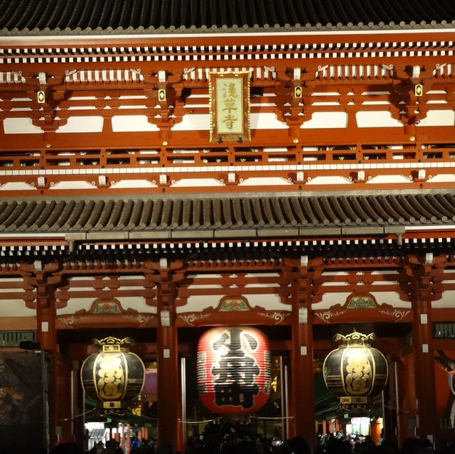 Things to do if your transfer flight is in Tokyo🇯🇵💖