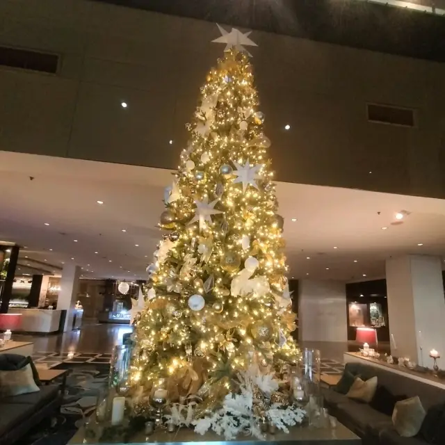 🩶The Silver Suite🩶