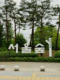 도심 속 자연에서 힐링타임을! ‘서울숲 공원’ 🌲🌷
