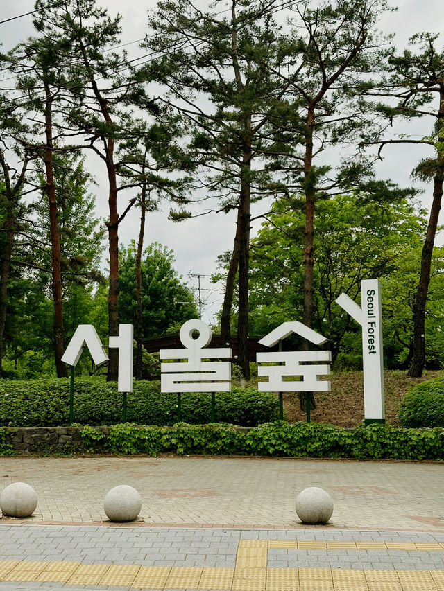 도심 속 자연에서 힐링타임을! ‘서울숲 공원’ 🌲🌷