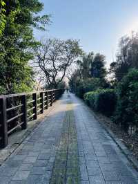 ［桃園旅遊］桃園埤塘1-16號池💧桃園小秘境