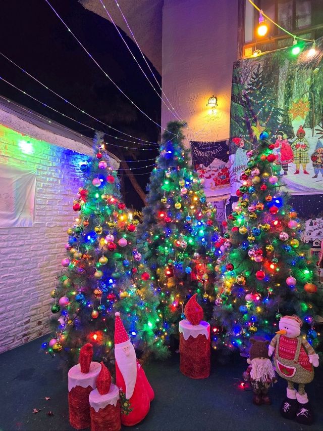 크리스마스에 진심인 여주 트리카페🎄