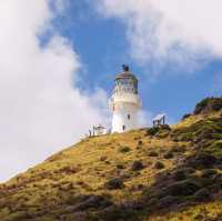 Historically significant, the Bay of Islands