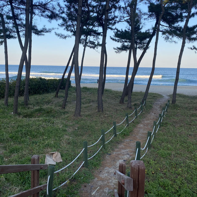 강릉 겨울 낭만 제대로 느낄 수 있는 조용한 해변 추천 (사근진해변, 순개울해변)