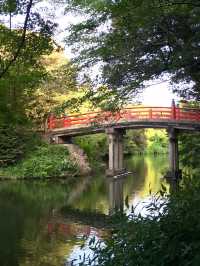 【富山　おでかけ記録】