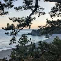 【ジェットスターで行く】高知ふらっと旅！