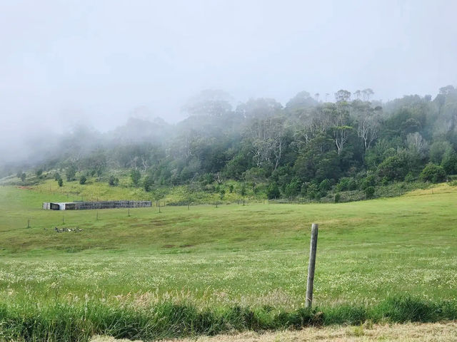 Majestic Views from Table Cape Lookout