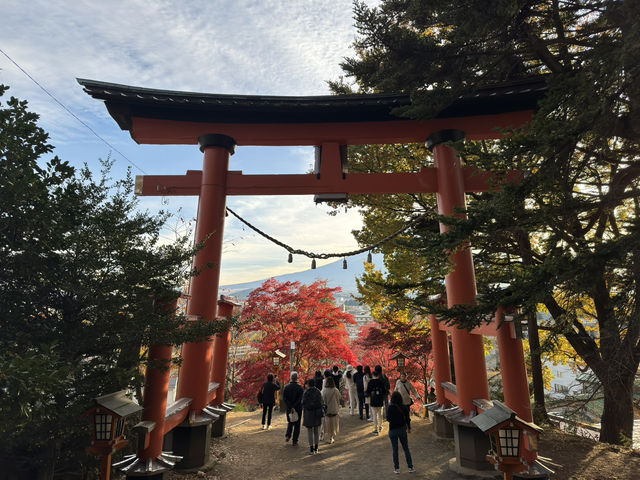 東京 - 走進淺間公園的奇幻世界 🌄✨