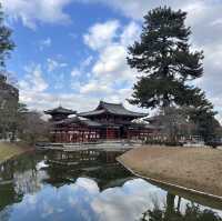 Kyoto was absolutely stunning and wins the hearts of millions
