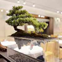 Guangzhou Restaurant: A Hidden Gem for Authentic and Superb Dim Sum