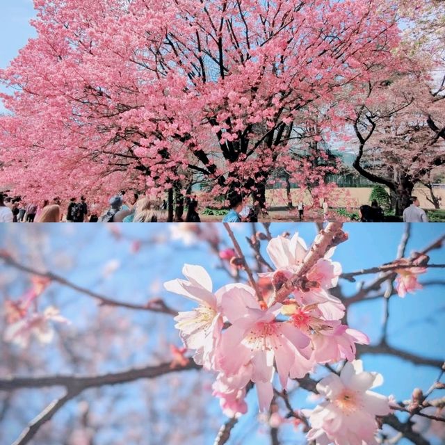 東京景點