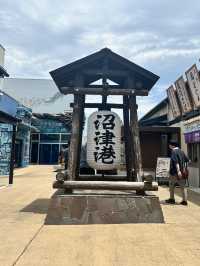 【静岡】新鮮海鮮と絶景が楽しめる「沼津港」の魅力🐟