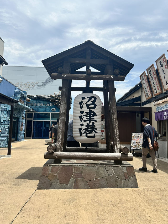 【静岡】新鮮海鮮と絶景が楽しめる「沼津港」の魅力🐟