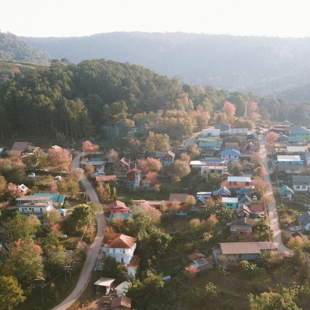 หนึ่งในหมู่บ้านที่ชอบที่สุด 'บ้านร่องกล้า'  🌸🌳