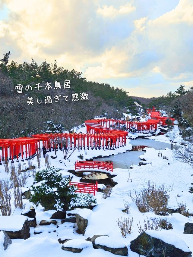 【青森／つがる市】雪の千本鳥居「髙山稲荷神社」⁡