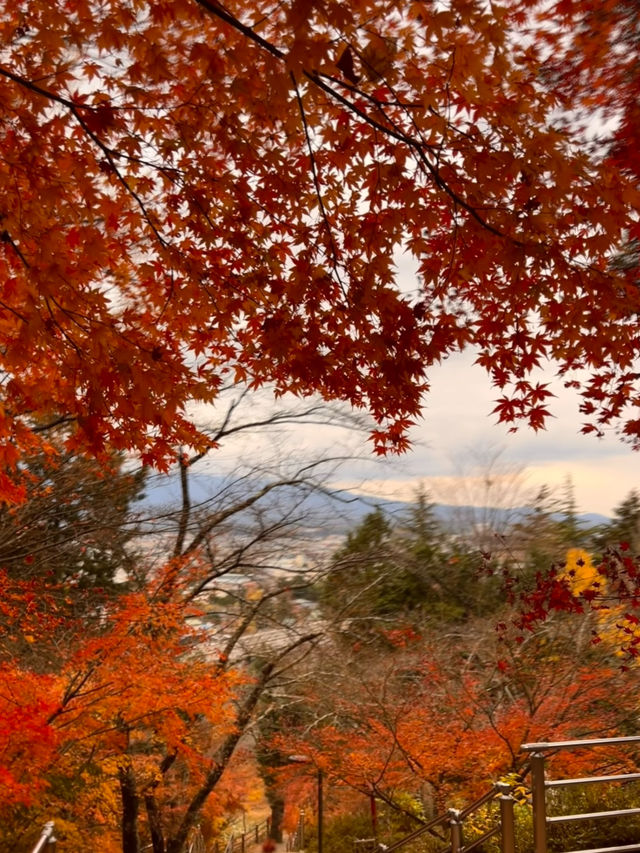 【山梨】ミシュランの表紙にもなった絶景