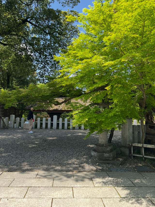 Shorinzan Daruma-ji วัดแห่งดารุมะ 🎏