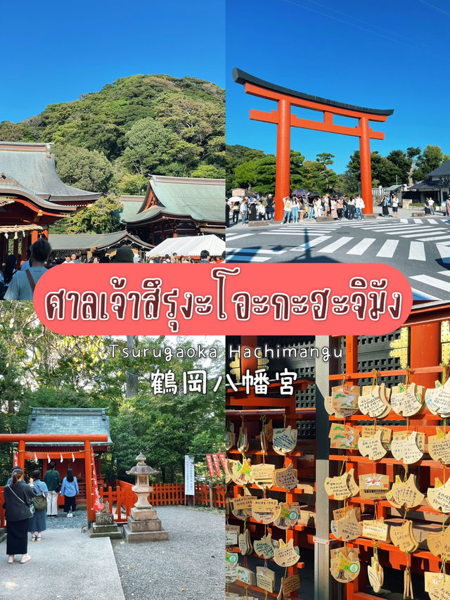 ไหว้พระ ขอพร ที่ศาลเจ้า | คามาคุระ ⛩️🏮