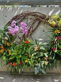 【熱帯の植物が一年中楽しめる】