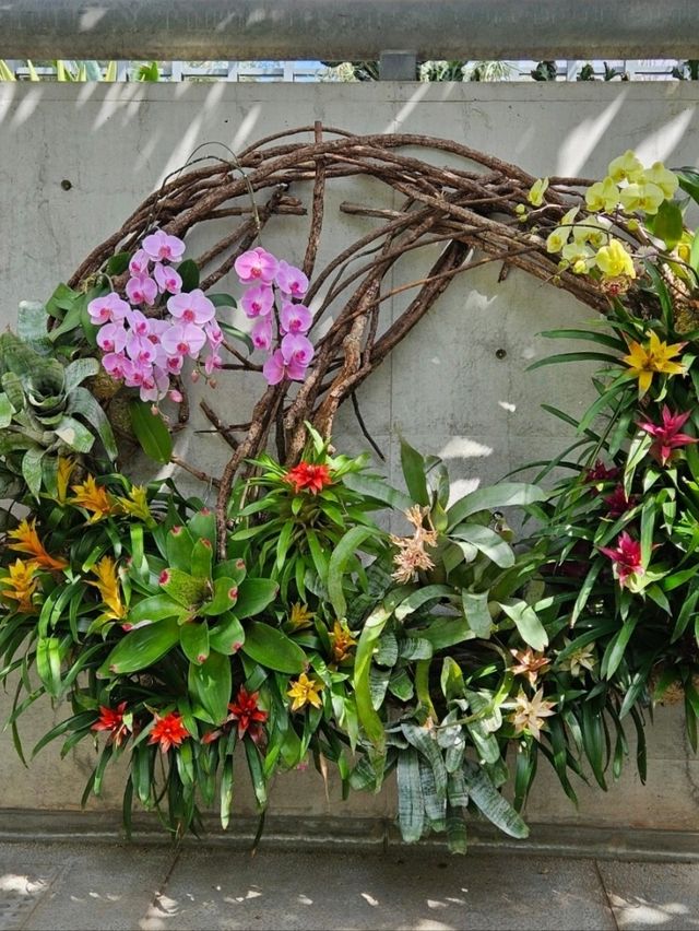 【熱帯の植物が一年中楽しめる】