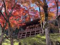 A Thousand Rakan Statues at the Otagi Nenbutsu-ji Temple in Kyoto