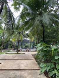 Savor the Vibes at Walking Drums